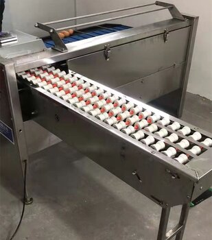 XH-FJ-5重量分級機松花蛋篩選機蛋品分級設備